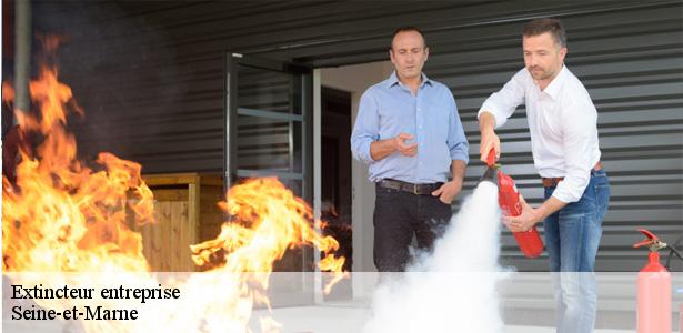 etablissement-de-vente-d-extincteur-entreprise-marne-la-vallee-77420-5