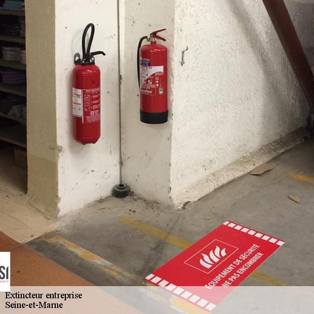etablissement-de-vente-d-extincteur-entreprise-marne-la-vallee-77420-8