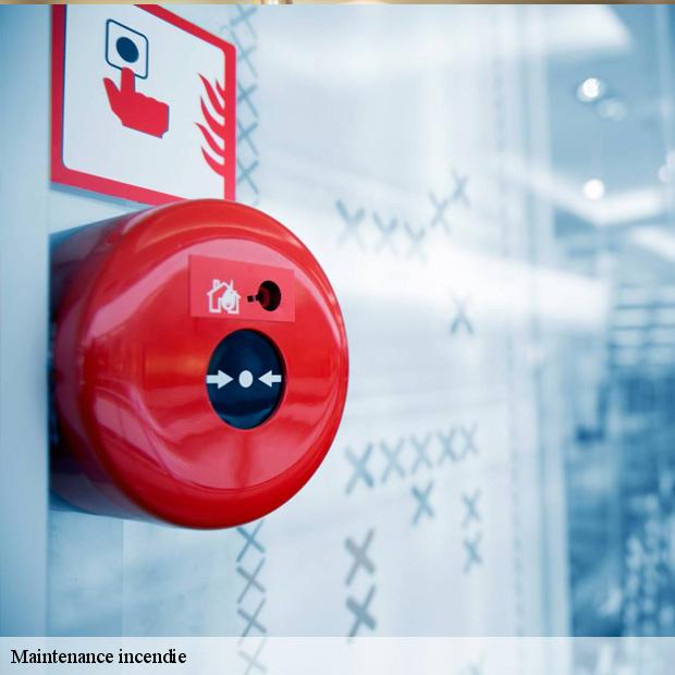 prestation-de-maintenance-incendie-lizy-sur-ourcq-77440-3