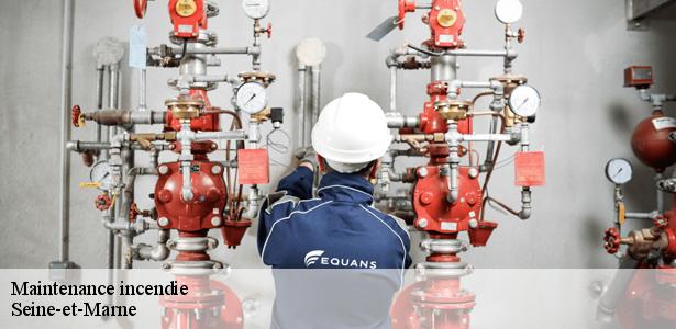 prestation-de-maintenance-incendie-marne-la-vallee-77420-5